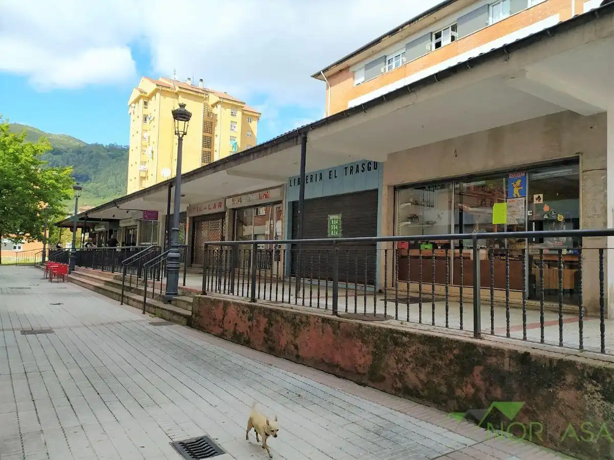 Local commercial à vendre à Poligono de Riano, imagen 2