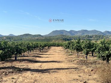 Terreno residencial en venta en Sagunto ciudad