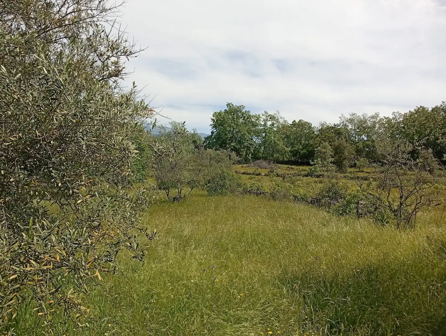 Terreni e lotti in vendita a Villanueva de la Vera, imagen 66