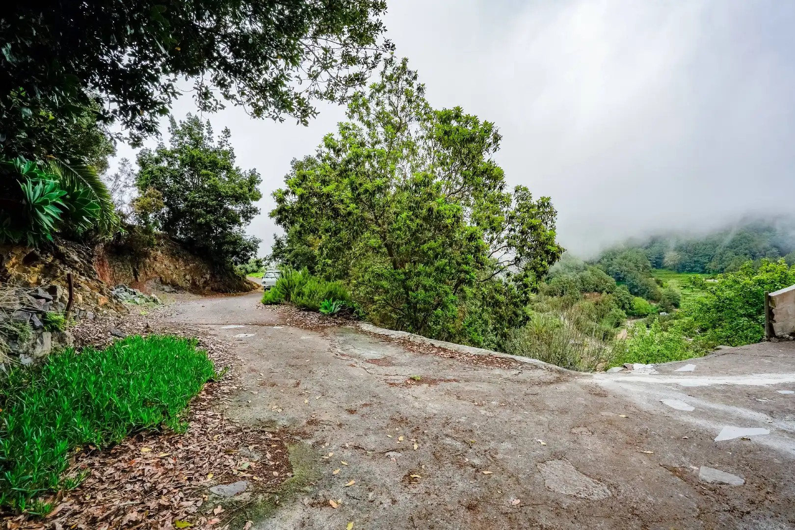 Finca rústica en venda a Hermigua