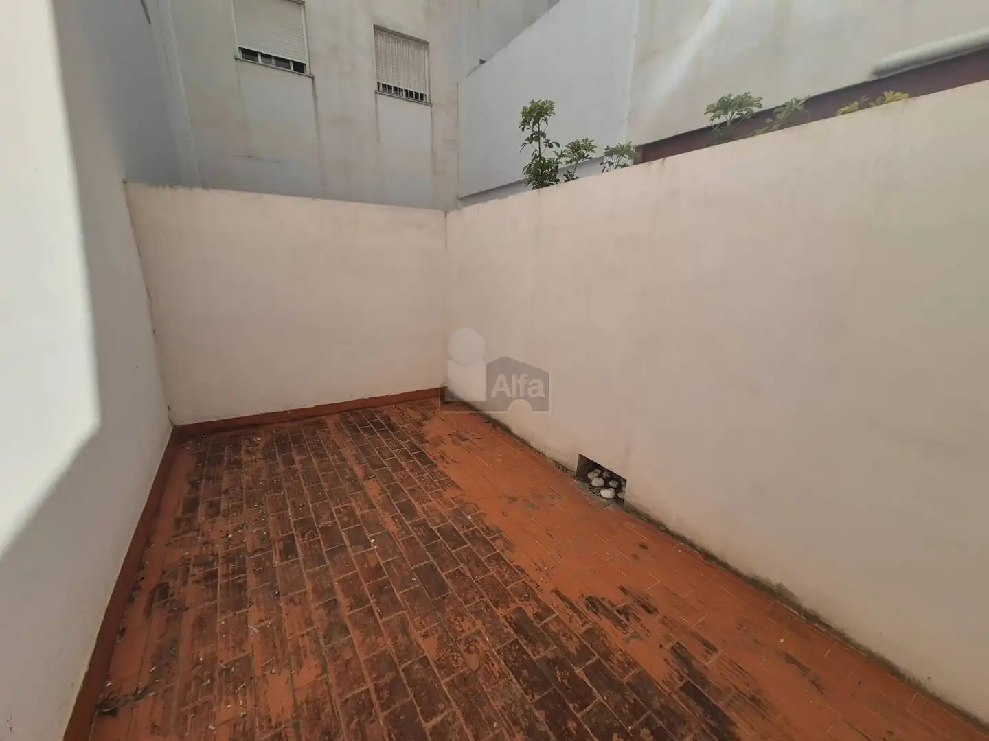 Commercial properties for rent in Carrer Luis Vives, 4, Pobla de Farnals