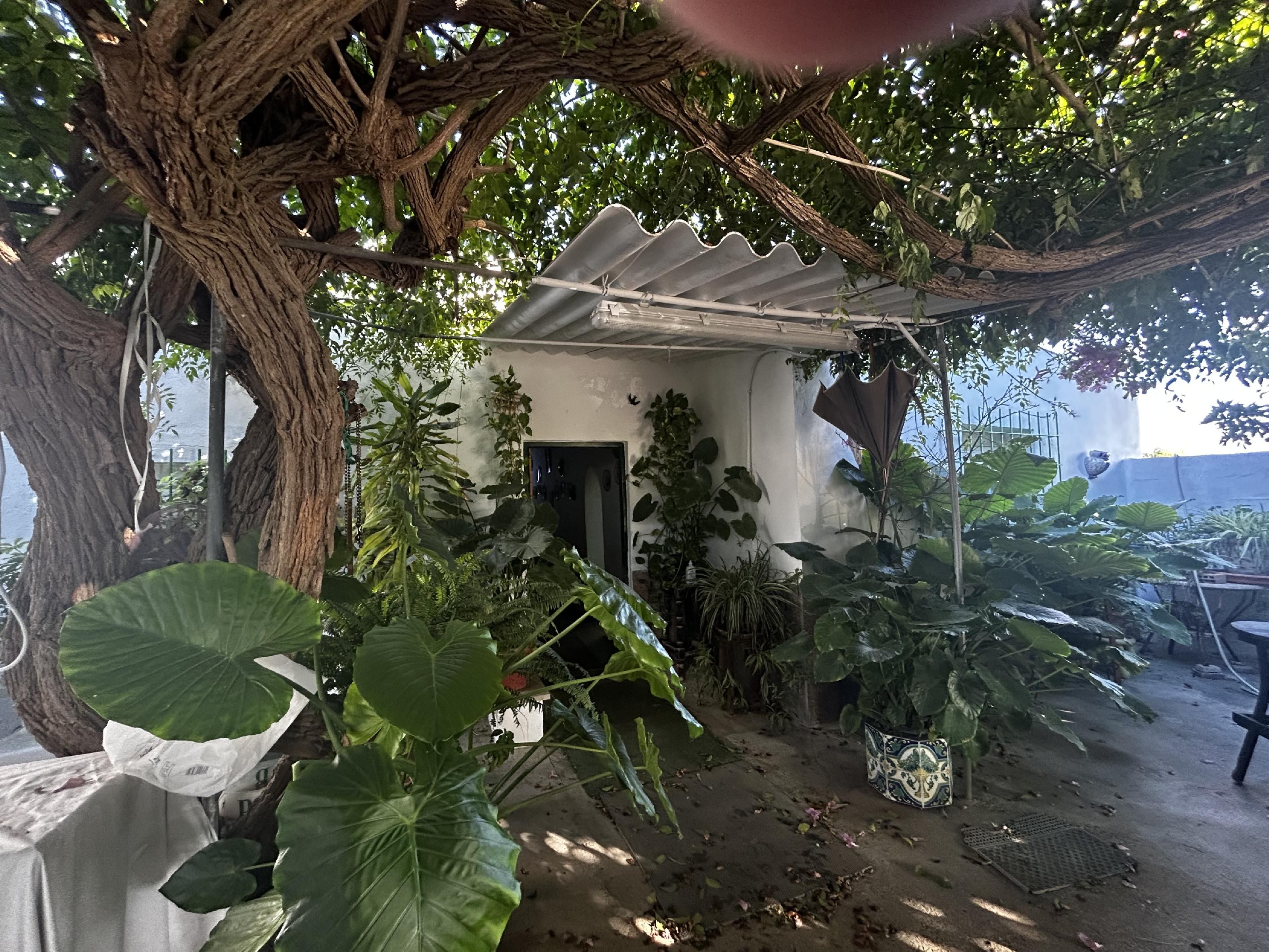 Vista exterior de Finca rústica en venda en Chiclana de la Frontera amb Traster