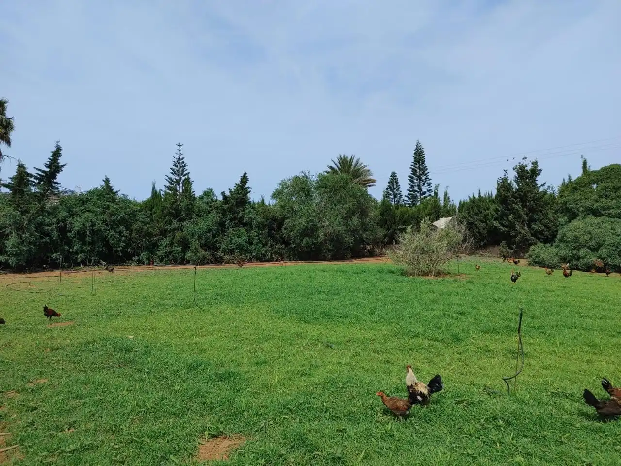 Land for sale in Chipiona