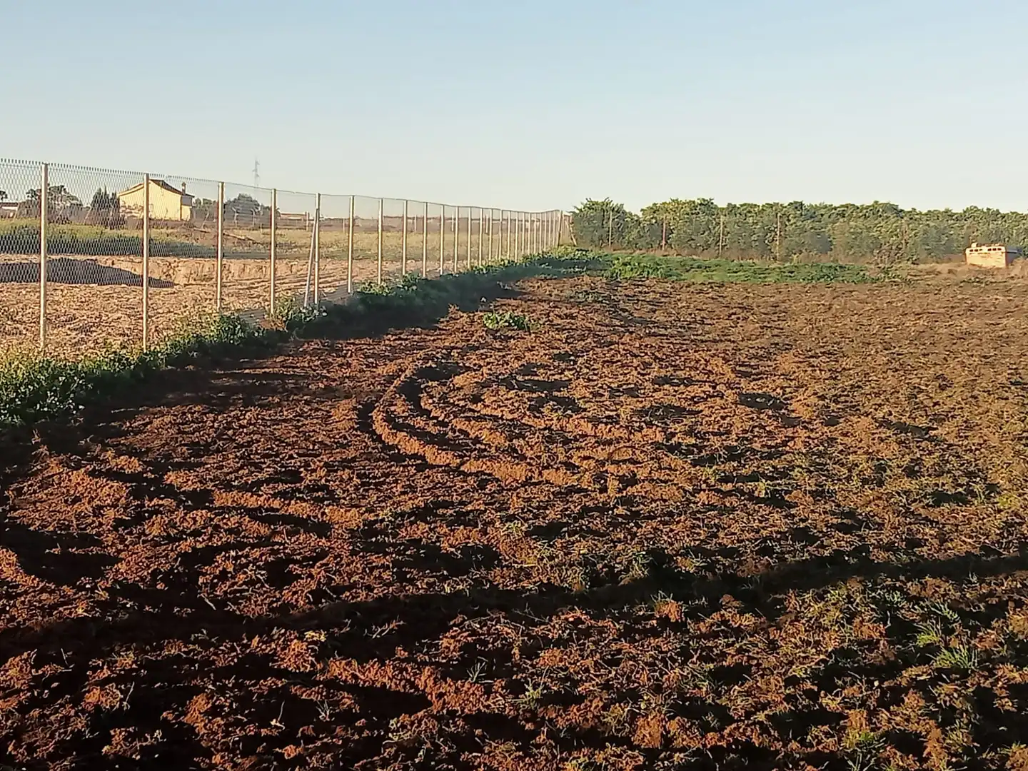Rustikales Grundstück zum Verkauf in Los Palacios y Villafranca, imagen 4
