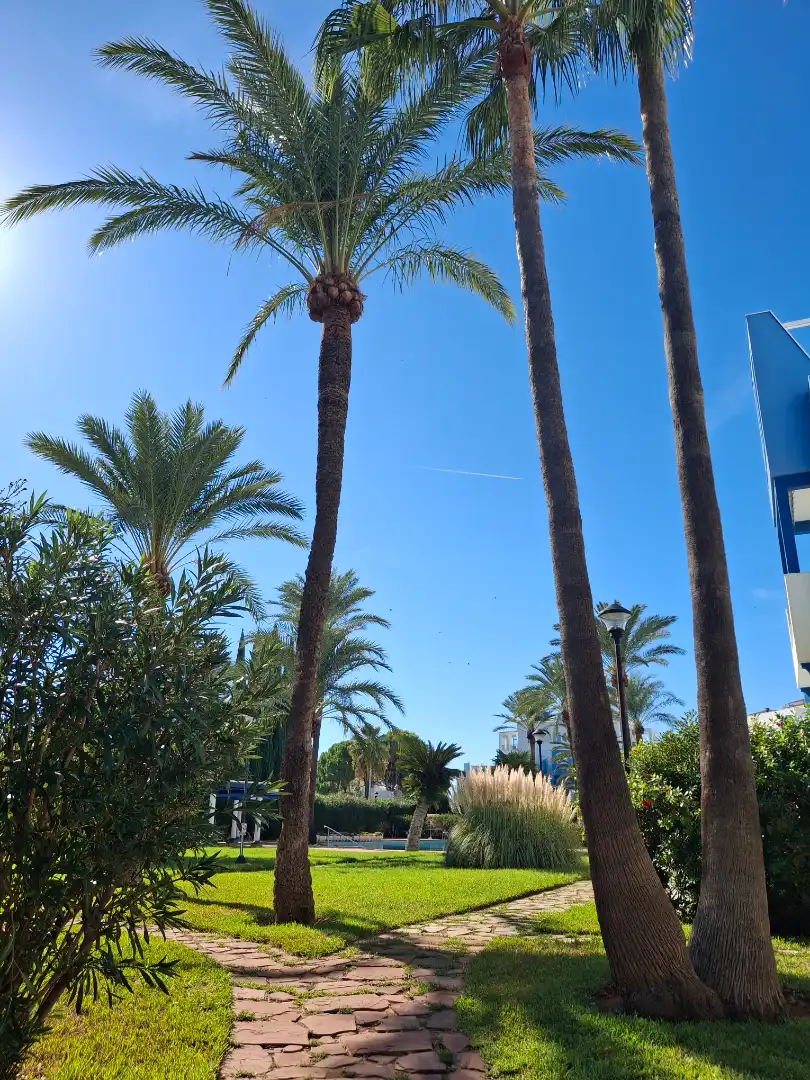 Apartament amb piscina en venda a Las Marinas / Les Marines, imagen 10