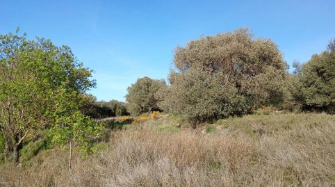 Foto 4 von Grundstücke zum Verkauf in Carretera Albalate, 1, Alfántega, Huesca