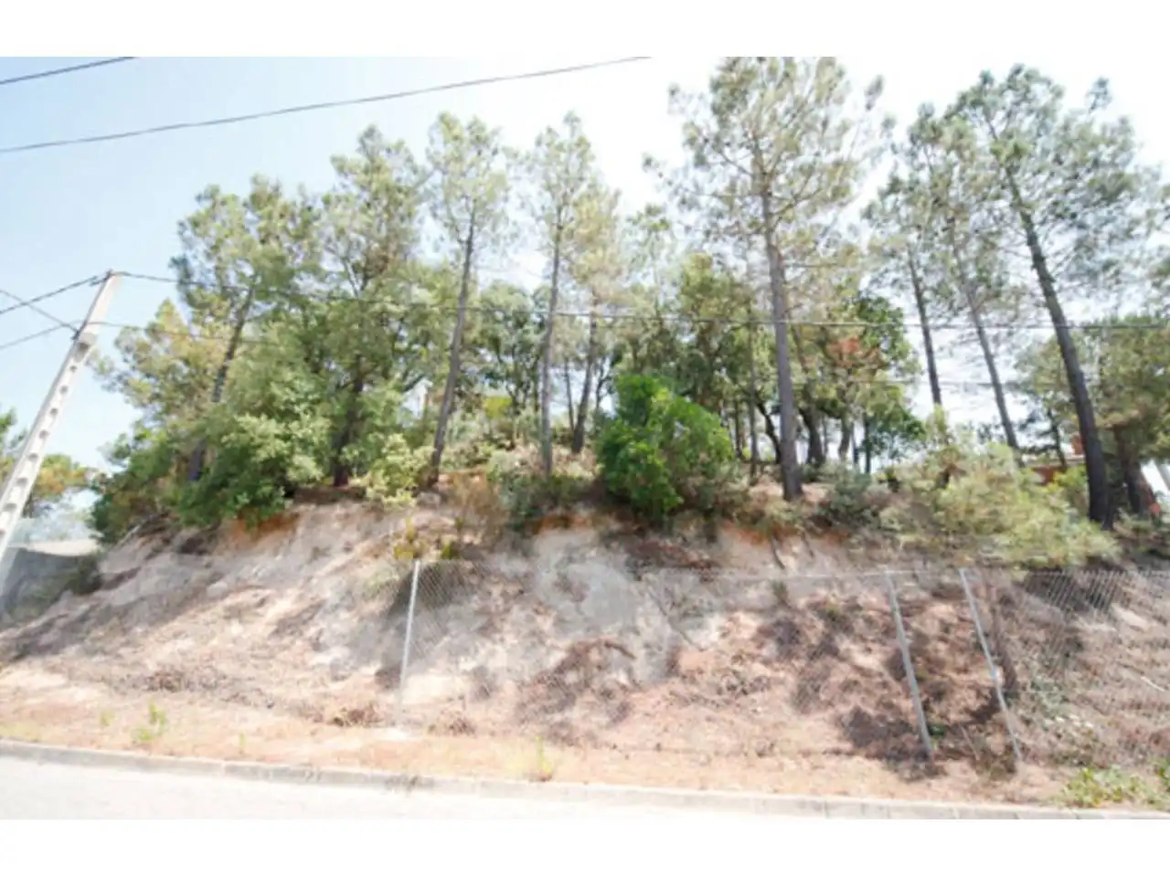 Rural land for sale in Sant Nicolau, imagen 3