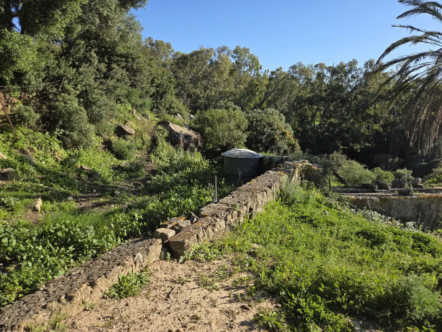 Garden of Country homes for sale in Tarifa ciudad
