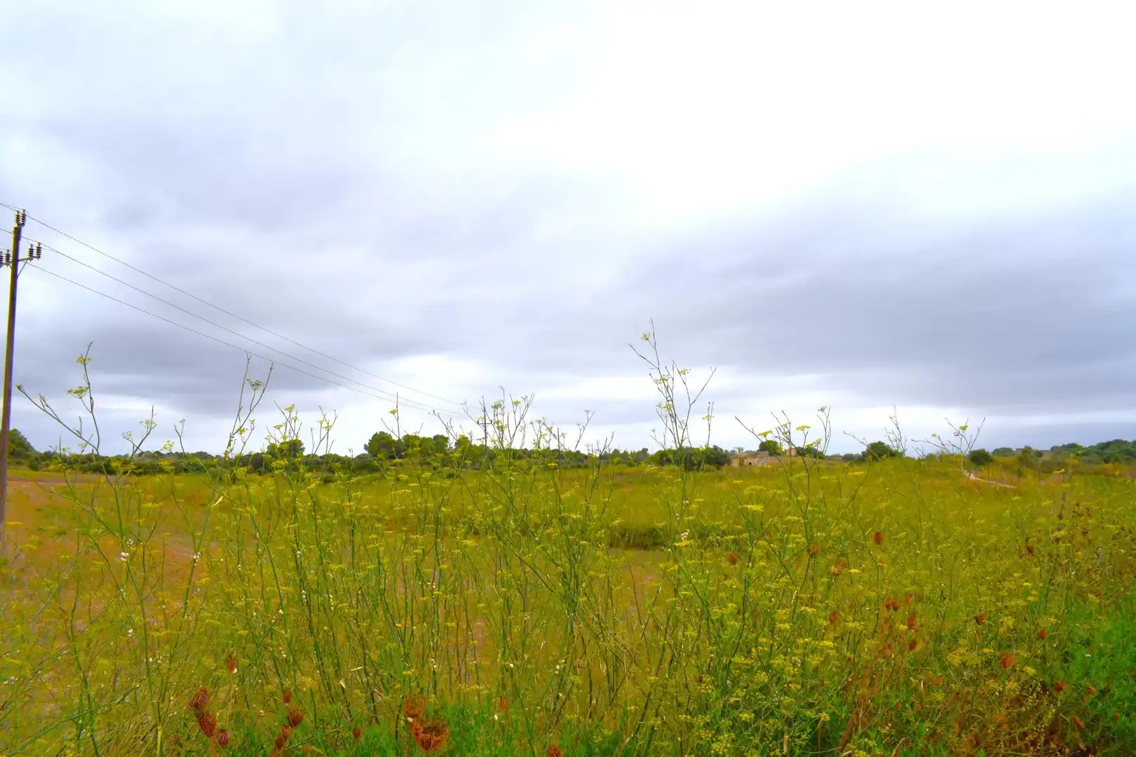 Residential land for sale in Santa Margalida Poble, imagen 17