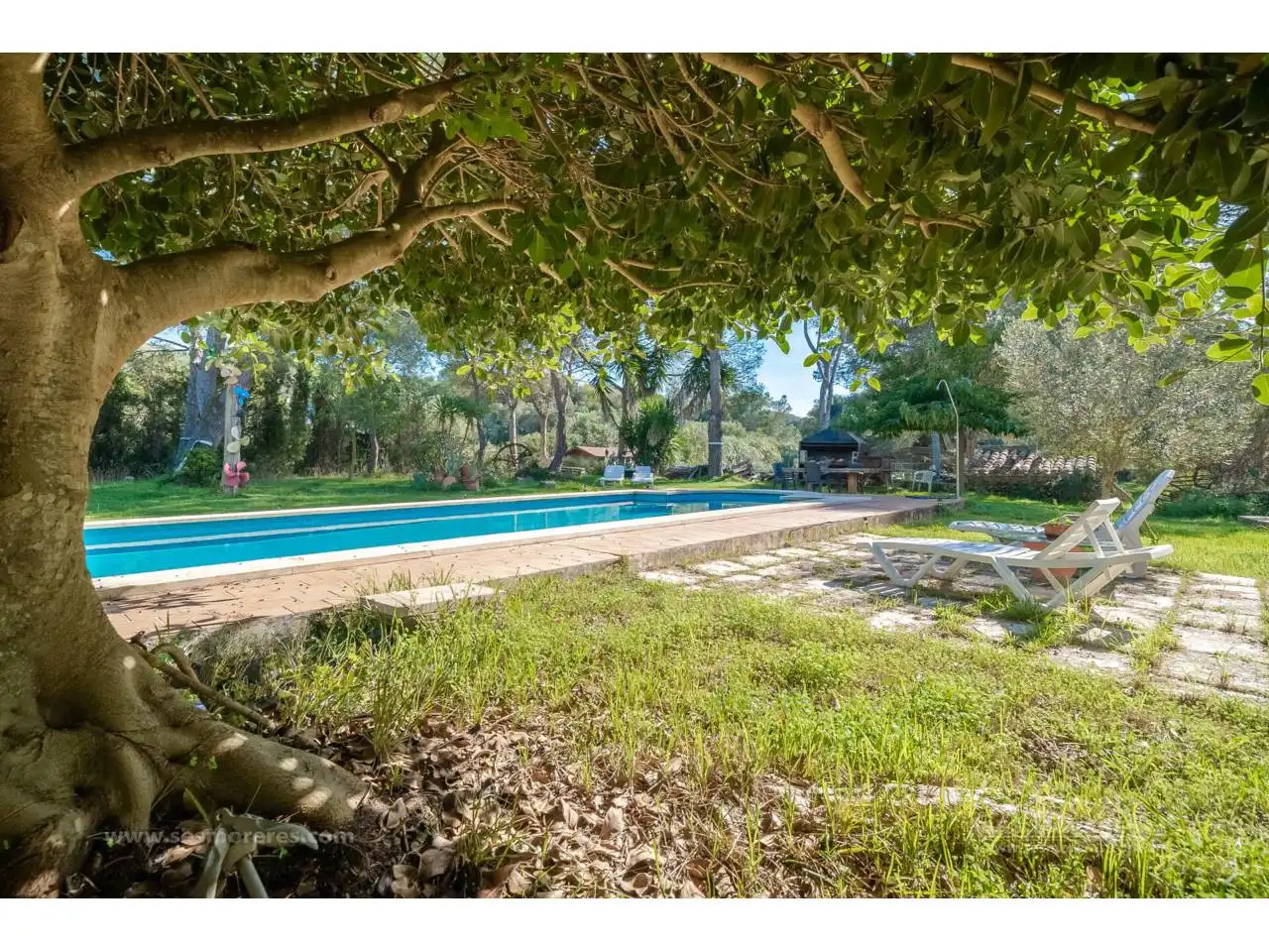 Piscina de Finca rústica en venda en Maó - Mahón amb Calefacció, Jardí privat i Terrassa