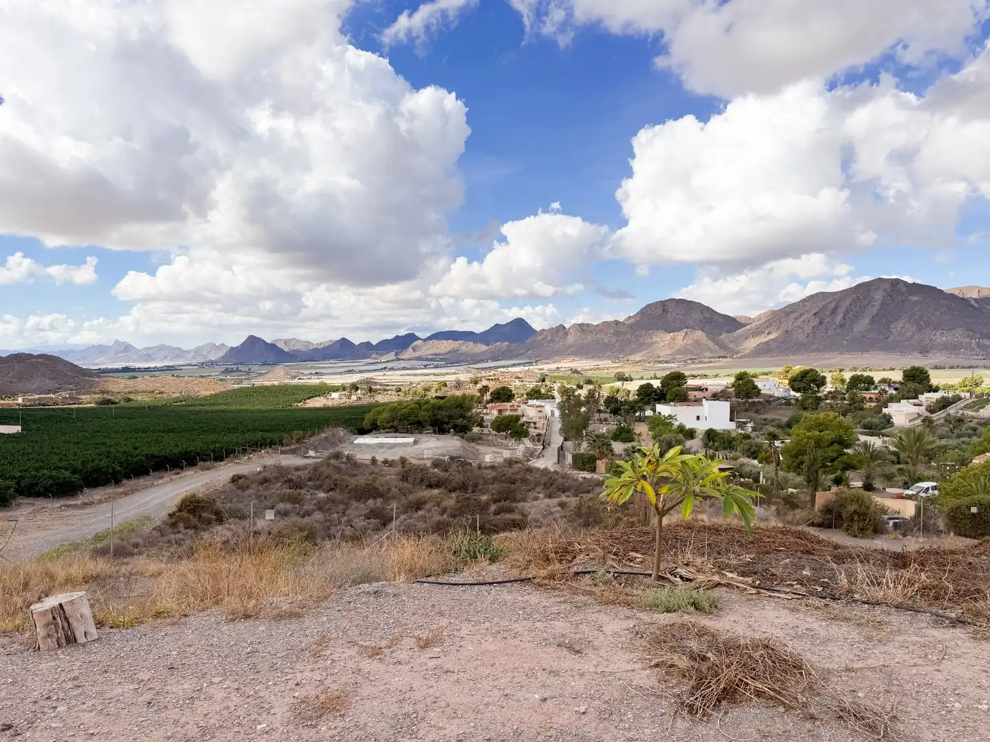 Vista exterior de Finca rústica en venta en Tébar - Los Arejos