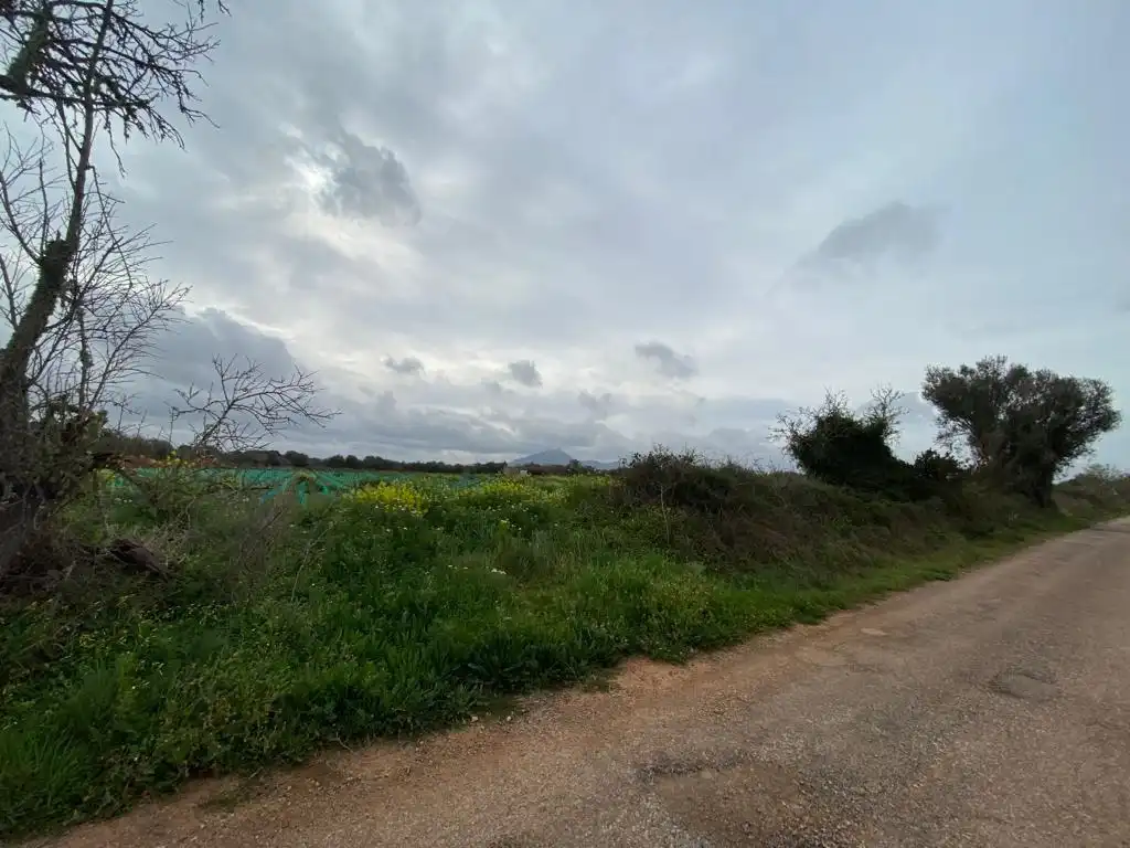Rural land for sale in Felanitx Poble, imagen 10