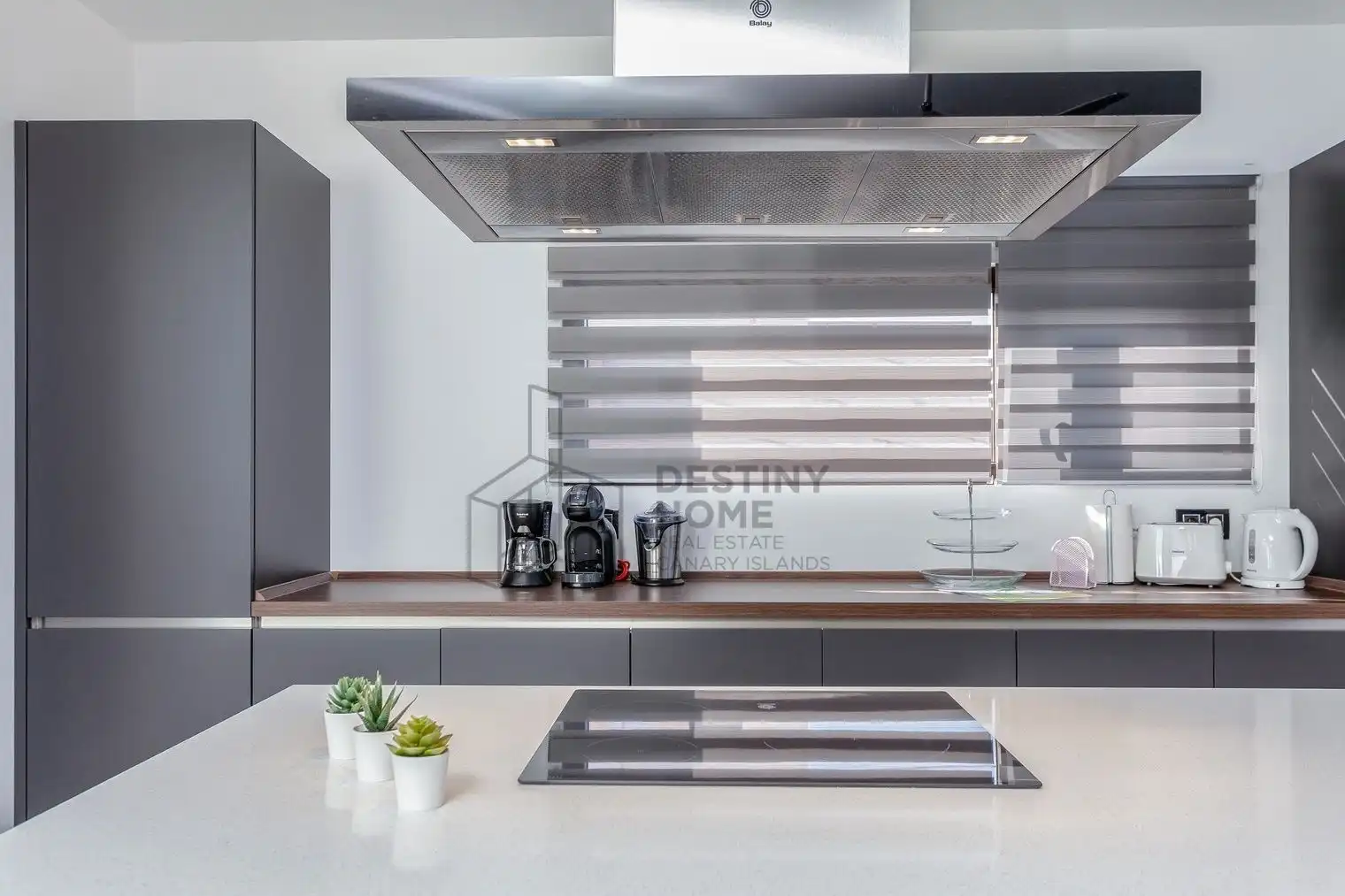 Cocina de Casa o chalet en venta en Antigua con Jardín privado, Terraza y Piscina