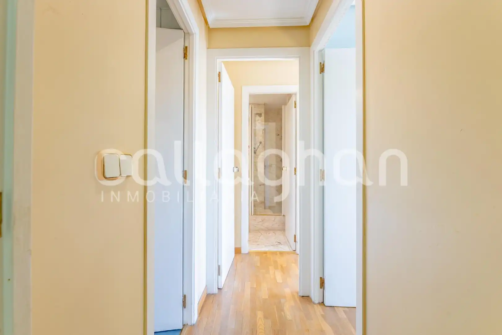 Appartement avec ascenseur à vendre à Calle BLASCO IBAÑEZ, imagen 17