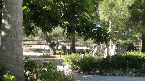 Foto 4 de Finca rústica en venda a Santa Catalina, Palma de Mallorca