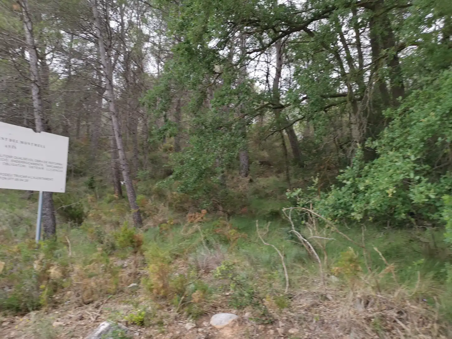 Terreny residencial en venda a El Montmell, imagen 16
