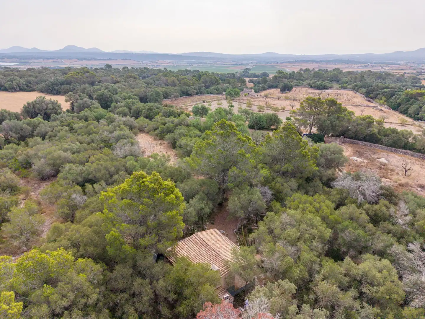Finca rústica en venda en Petra amb Jardí privat, Terrassa i Traster