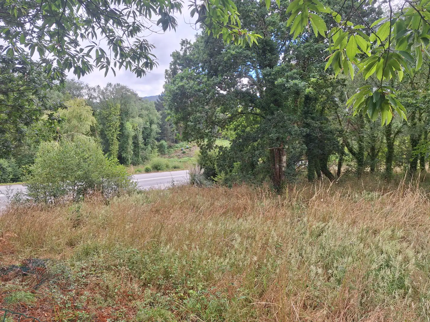 Grundstücke zur Miete in Culleredo