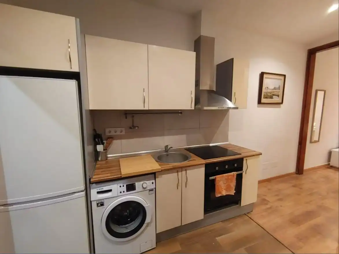 Kitchen of Apartments for rent in La Florida - Vistalegre