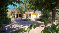 Vista exterior de Casa o xalet en venda en Vila-real amb Terrassa i Piscina