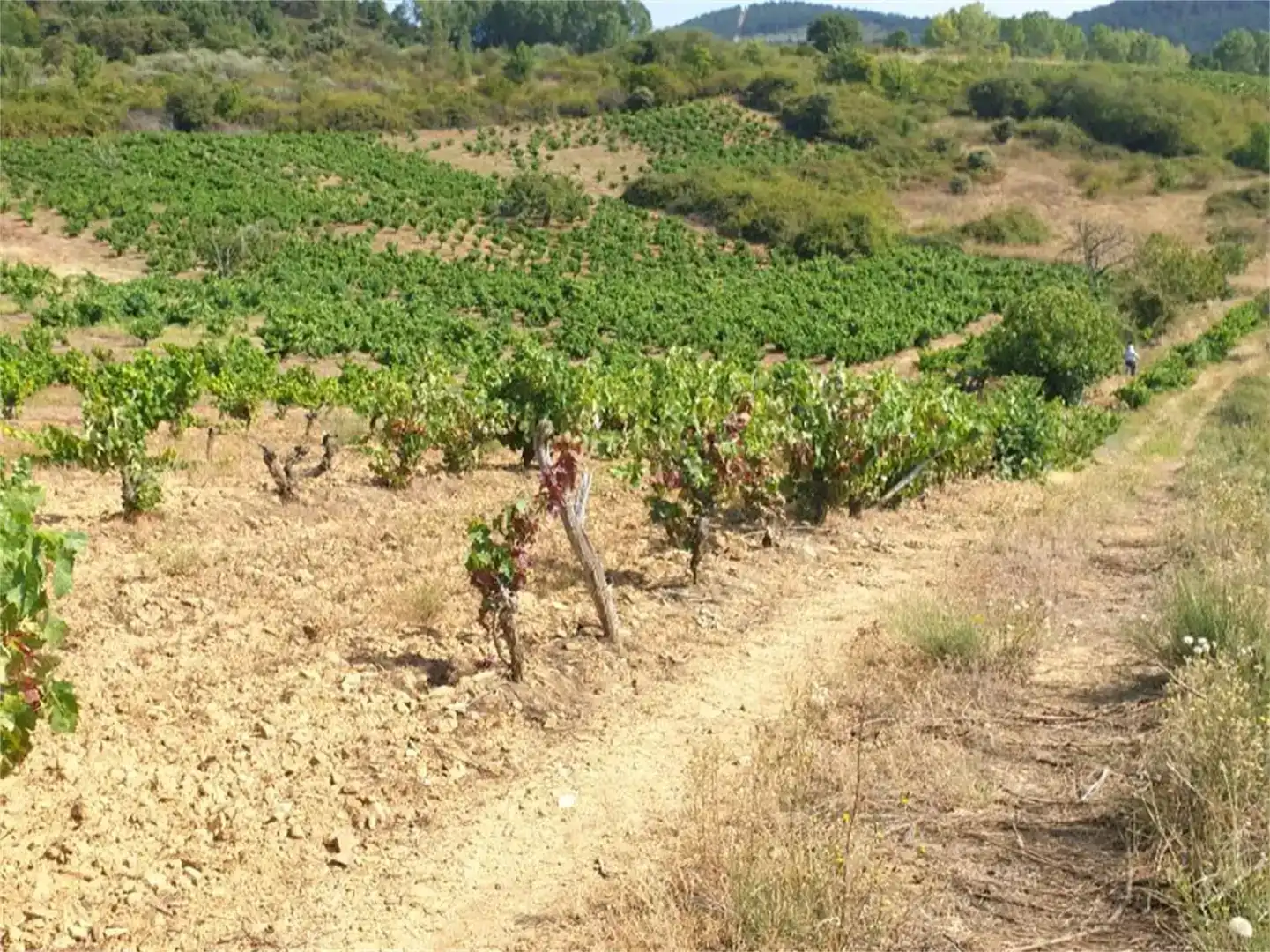 Planta baja en venta en Cacabelos con Amueblado