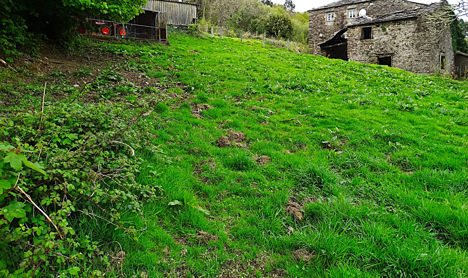 Country homes for sale in Muras