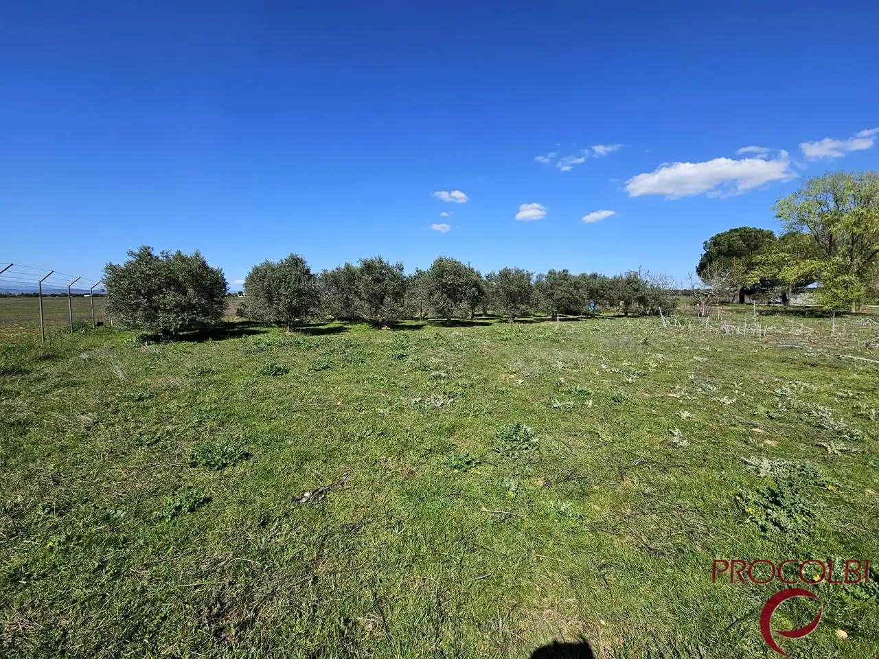 Terreno en venta en Valdeolmos-Alalpardo