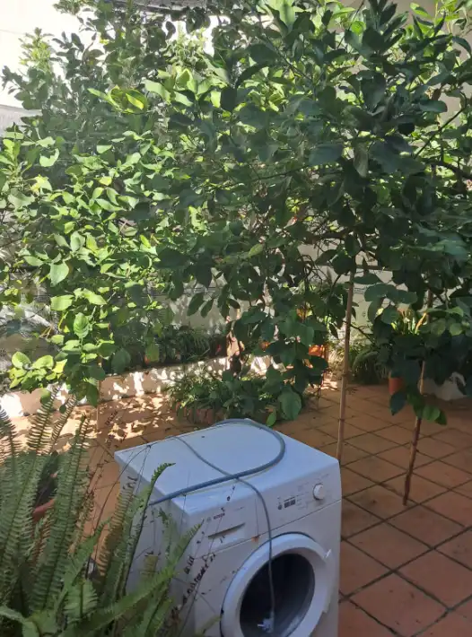 Jardín de Casa o chalet en venta en Alcàsser con Aire acondicionado, Terraza y Balcón