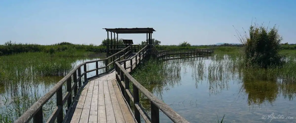Xalet en venda a Carrer Canal, imagen 10