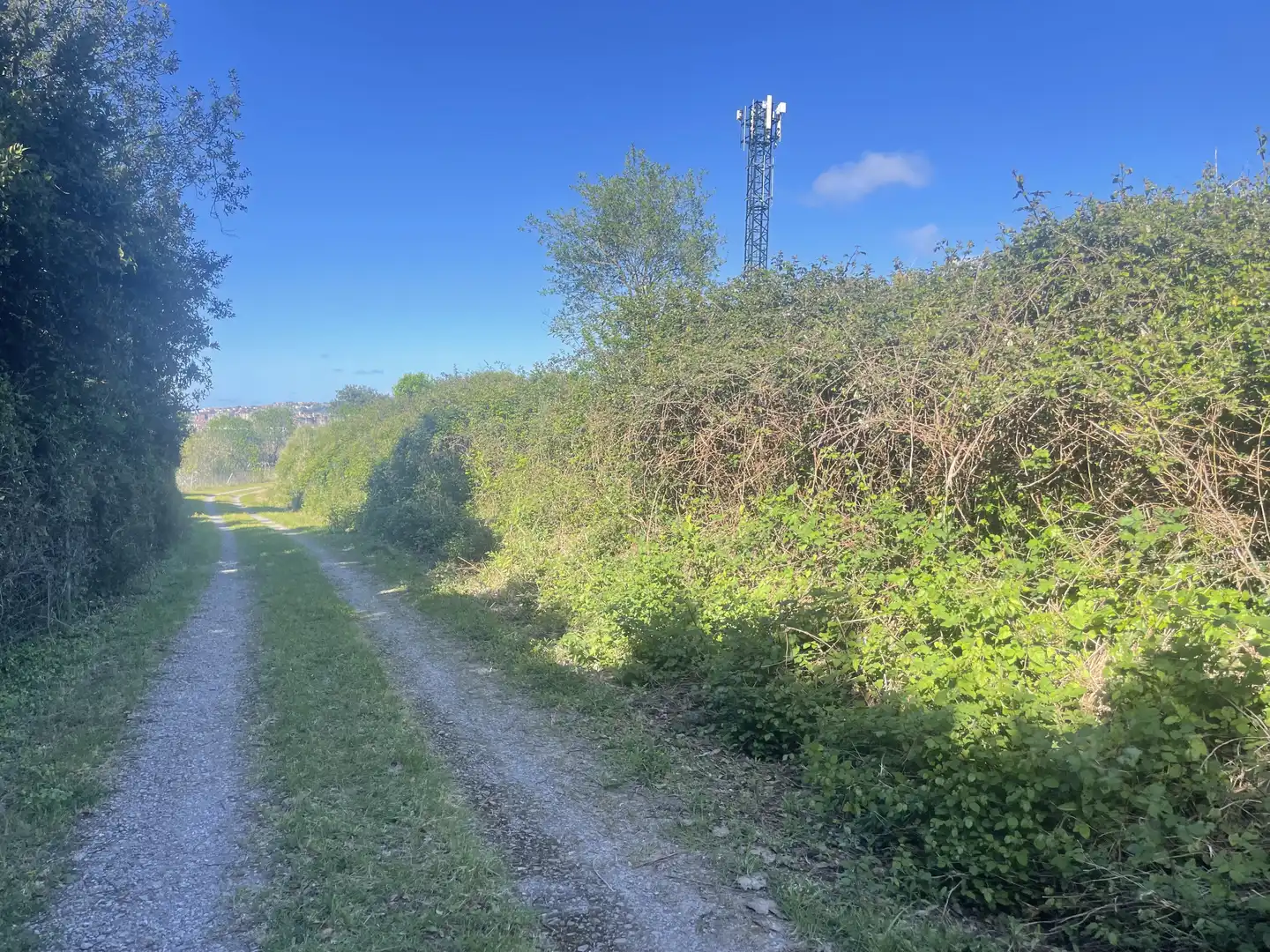 Terreno residenziale in vendita a Rural, imagen 7