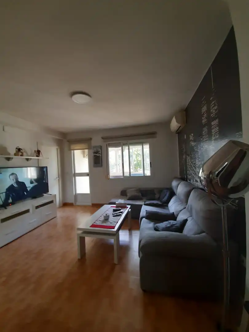 Living room of Flat for sale in Valencia  with Air Conditioner, Parquet flooring and Furnished