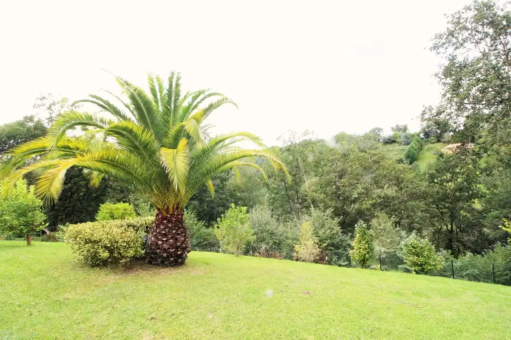 Jardín de Casa o chalet en venta en Parres con Piscina y Amueblado