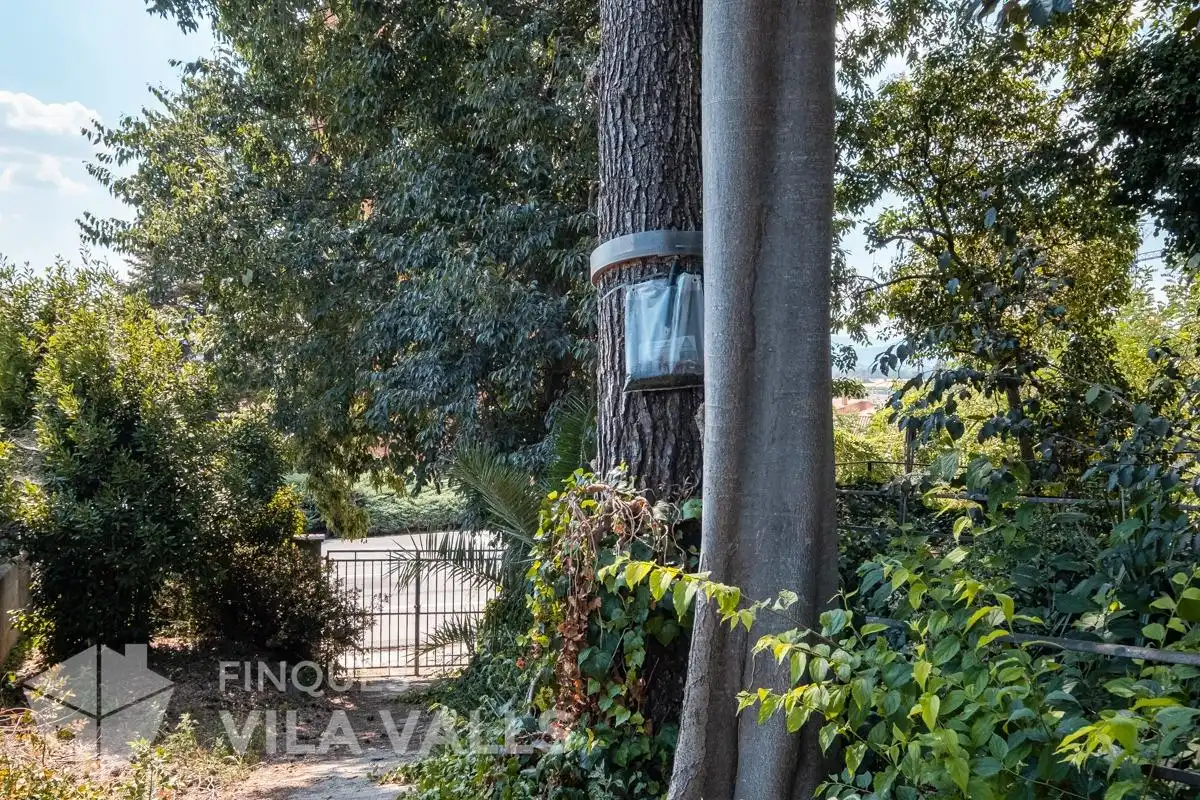 Vista exterior de Casa o xalet en venda en Palau-solità i Plegamans amb Jardí privat