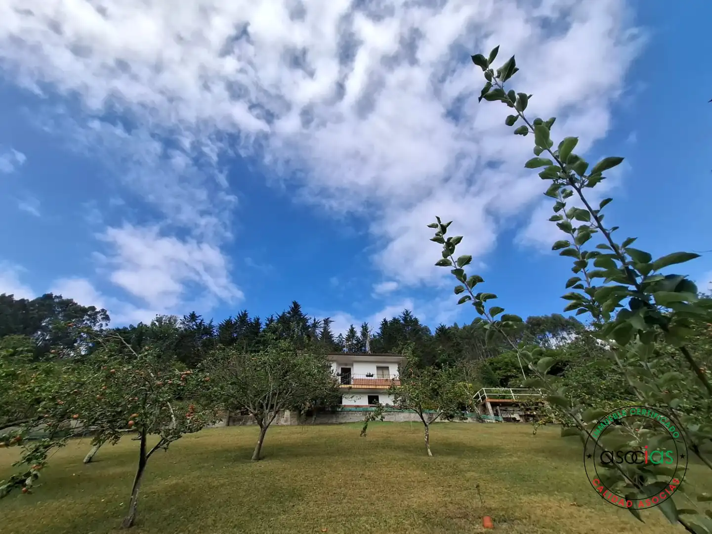 Jardín de Casa o chalet en venta en Gijón  con Jardín privado, Terraza y Trastero