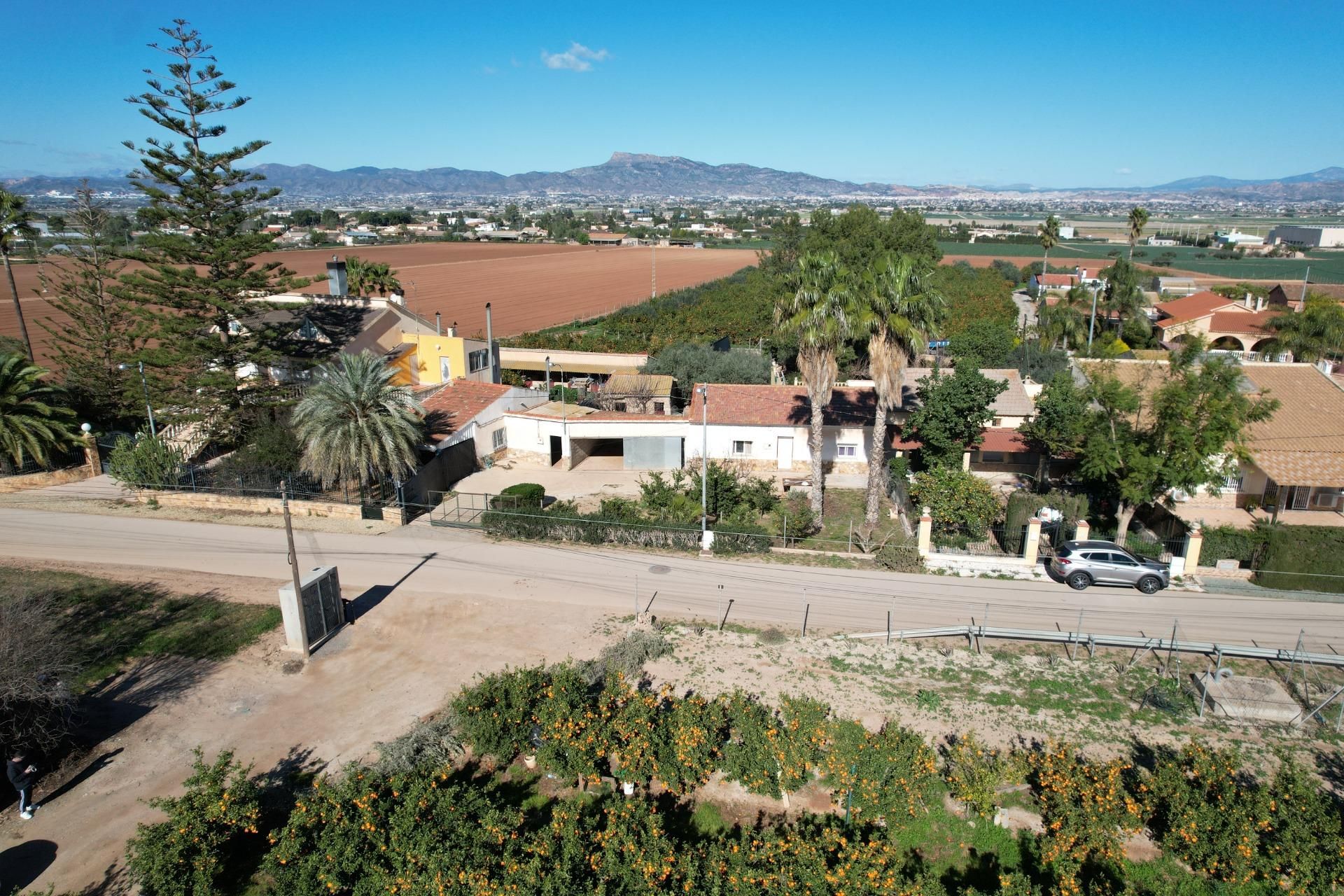 Vista exterior de Finca rústica en venta en Lorca con Jardín privado