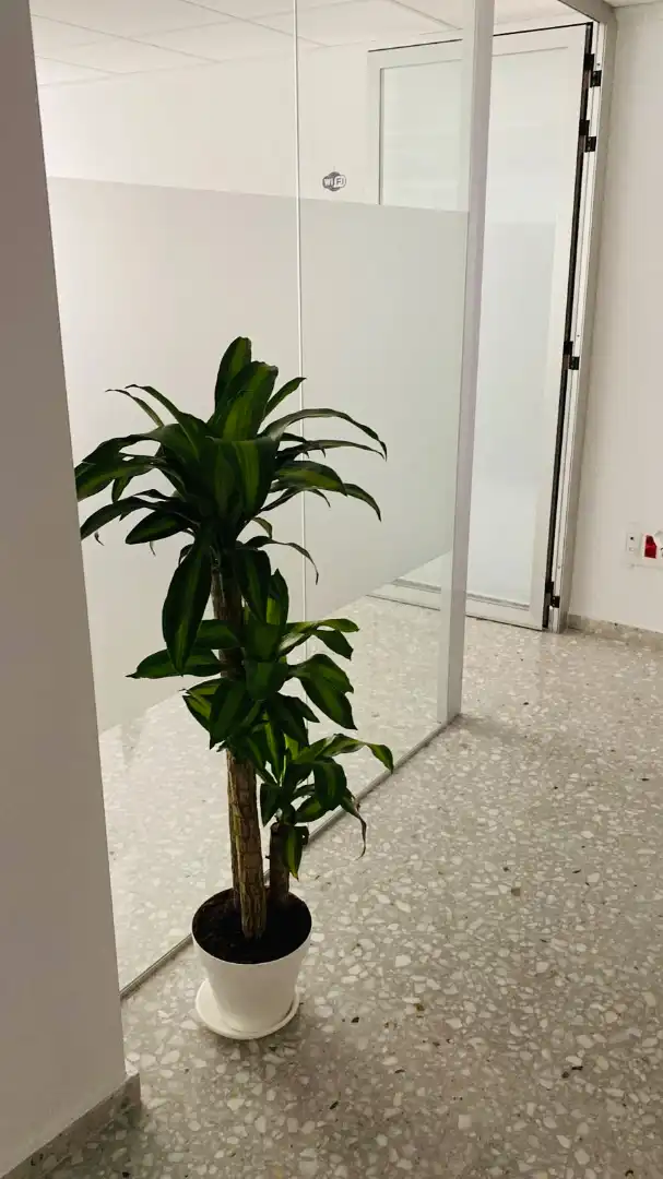 Pis en venda en Oliva amb Aire condicionat, Calefacció i Terrassa
