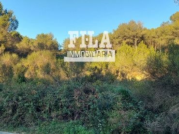 Terreno rustico in vendita a xavier montsalvatge  en  mas romeu