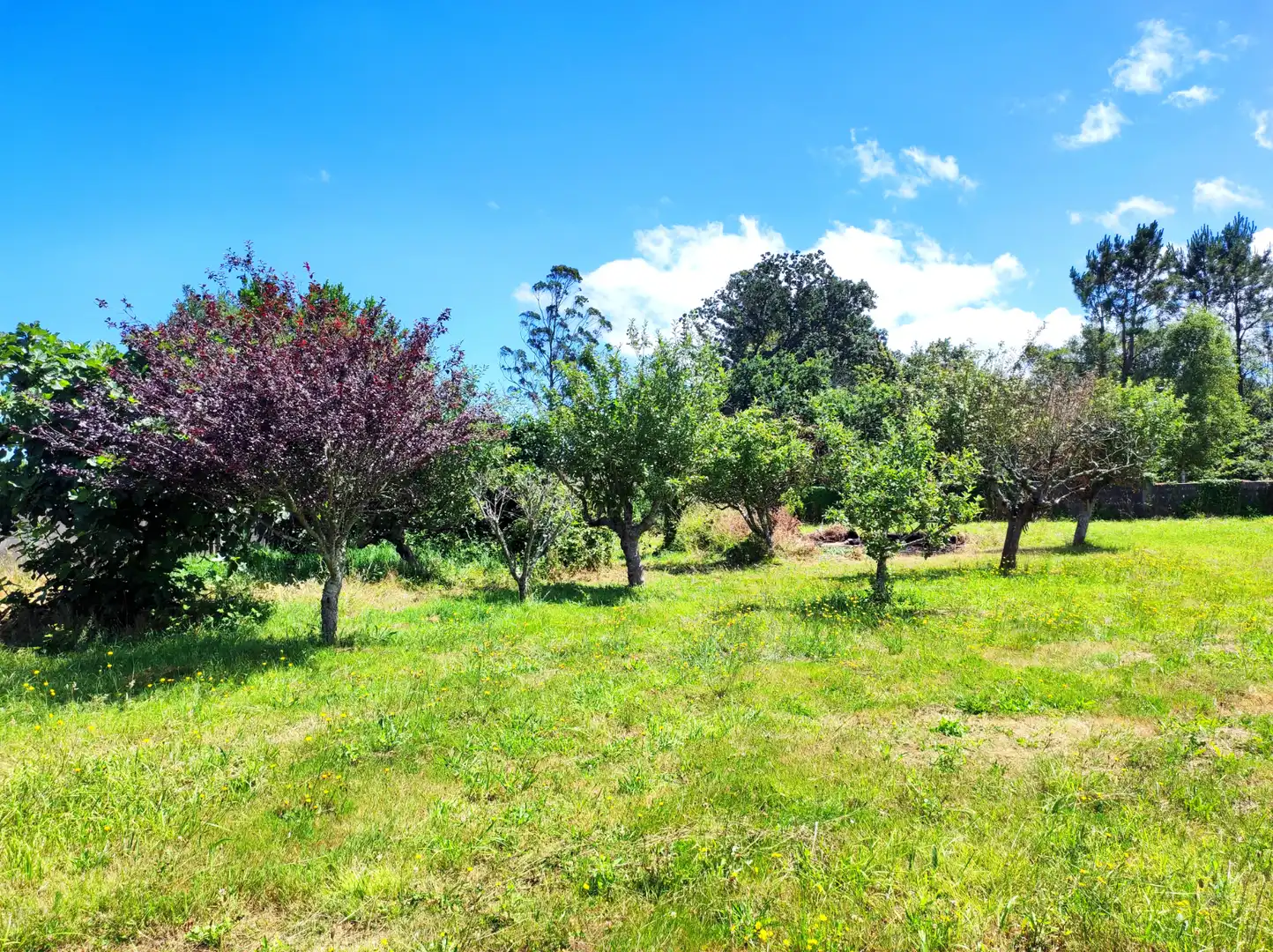 Houses for sale in A Laracha    with Heating, Private garden and Terrace