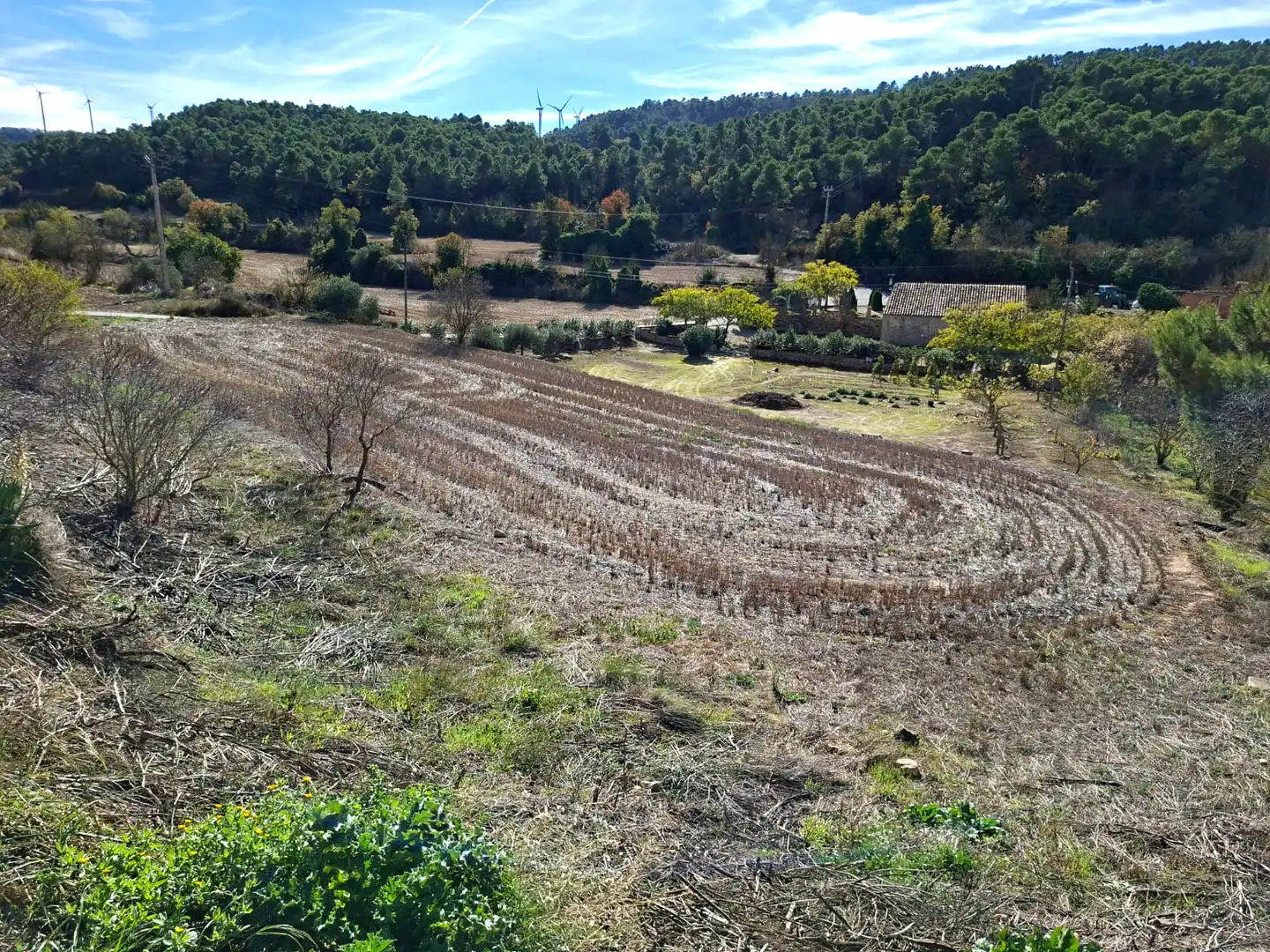 Terreno rústico en venta en Vallbona de Les Monges, imagen 52