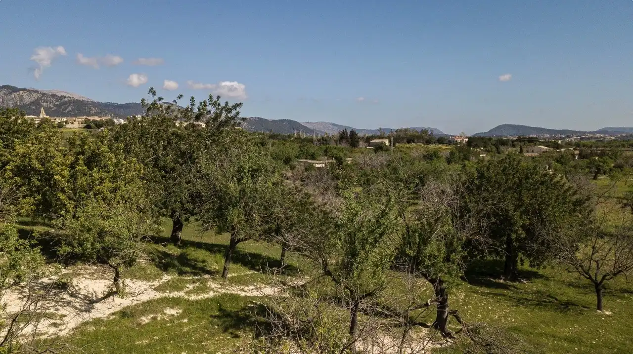 Terreni e lotti in vendita a Selva, imagen 24