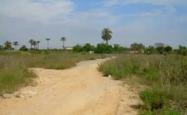 Terreny residencial en venda a Carcaixent, imagen 2