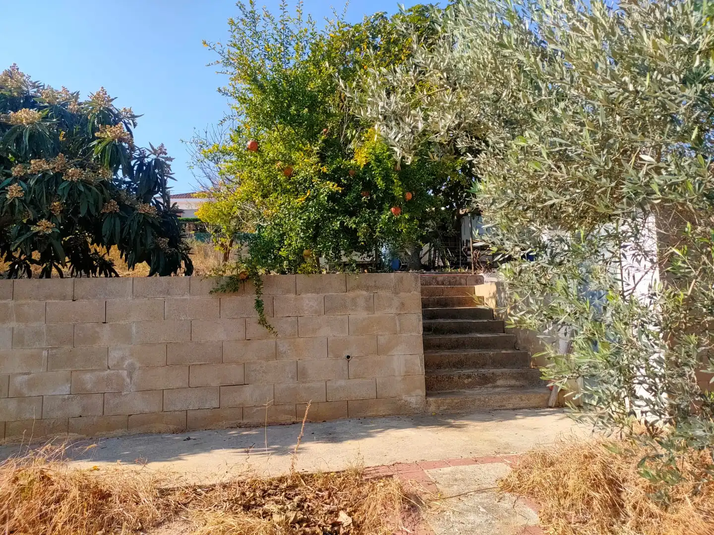 Residential land for sale in Carrer d'Eduard Toldrà, imagen 17
