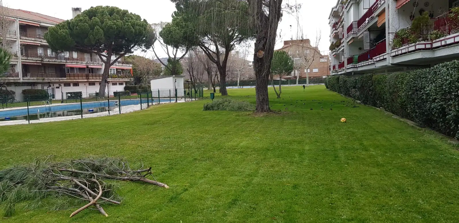 Pis en venda a Calle Costa del Sol, Los Negrales