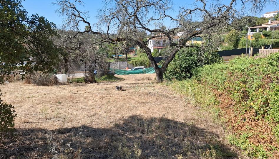 Photo 1 of Residential for sale in Avenida de Los Lagos, Los Lagos, Sevilla