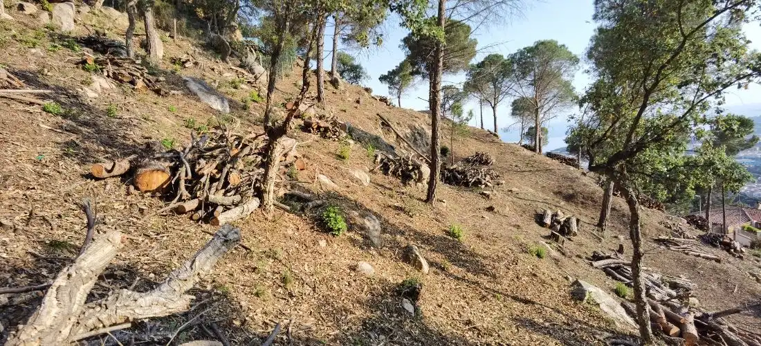 Terrenos y solares en venta en Roca Grossa, imagen 13