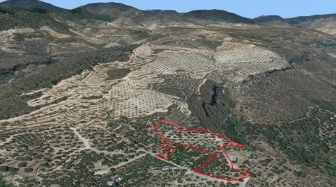 FINCA DE REGADÍO EN SALERES