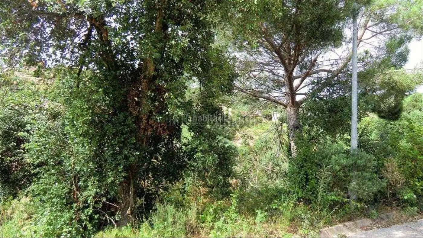 Terreny residencial en venda a Avinguda de la Senyera 79, imagen 5