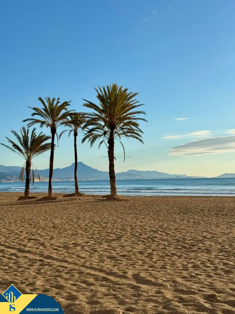 Piso con piscina en venta en Playa de San Juan - El Cabo de las Huertas, imagen 99