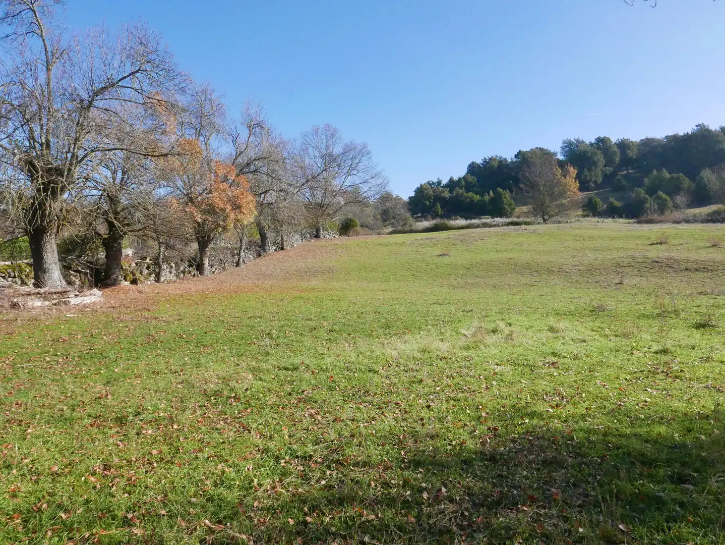 Land for sale in Santo Tomé del Puerto