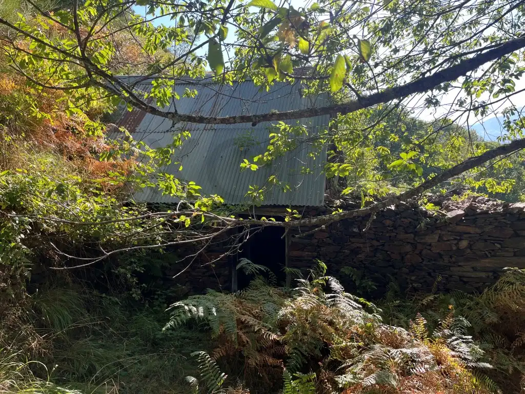 Vista exterior de Casa o chalet en venta en Bausen